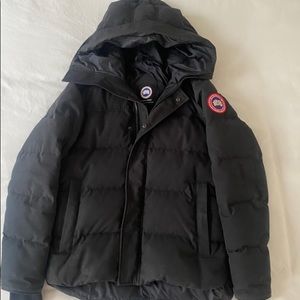 Canada goose